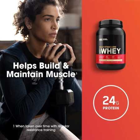 Optimum Nutrition (ON) Gold Standard 100% Whey (2 lbs/907 g) (Double Rich Chocolate) Protein Powder for Muscle Support & Optimum Nutrition (ON) Gold Standard 100% Whey (2 lbs/907 g) (Double Rich Chocolate) Protein Powder for Muscle Support &