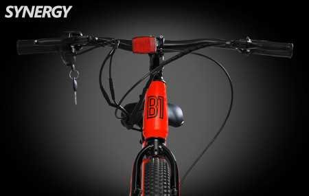 SYNERGY B1 Electric Cycle with Dual Disc Brakes, 250w BLDC Motor, 5.8Ah Li-Ion Battery, Throttle with Battery Indicator, 95%