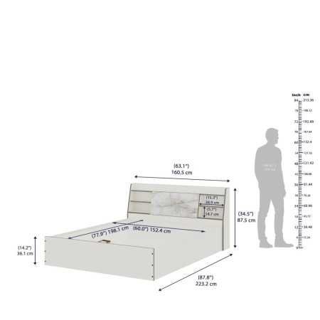 Wakefit Bed | Queen (78 X 60) Engineered Wood Bed Without Storage, 1 Year Warranty | - Cosma - Columbian Walnut