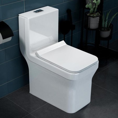 Plantex Platinum Ceramic Commode/S Trap One Piece Western Toilet/Rim Washdown Flush Commode with Soft Close Toilet Seat Cover