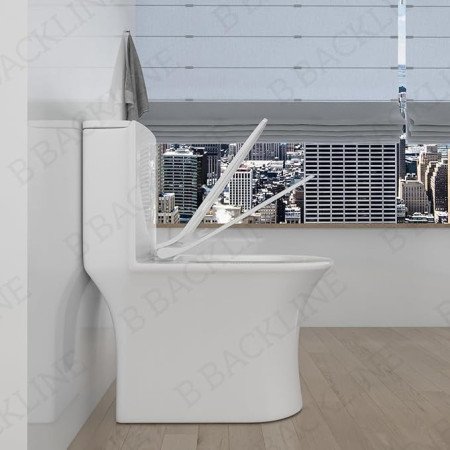 B Backline Ceramic Floor Mounted One Piece Western Toilet 6D Flushing Syphonic Commode/Water Closet Soft Close Seat Cover 9" S B Backline Ceramic Floor Mounted One Piece Western Toilet 6D Flushing Syphonic Commode/Water Closet Soft Close Seat Cover 9" S