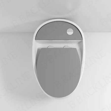 B Backline Commode for Toilet/Floor Mount Ceramic Western Toilet Commode Siphonic Flushing/Water Closet with Soft Closing Toilet