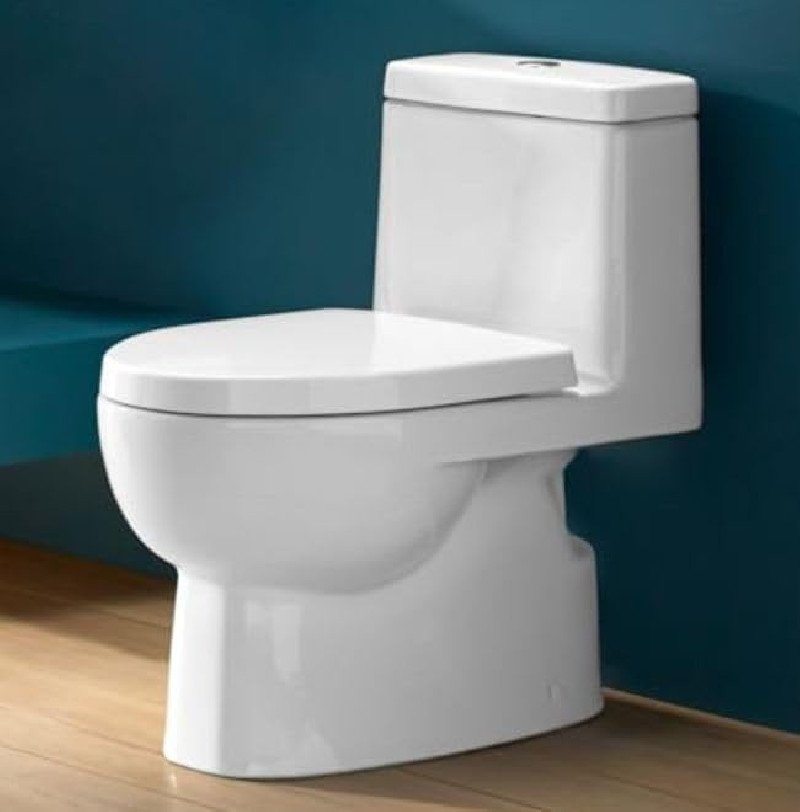 Kohler Reach One-Piece Floor Mounted Toilet | Ceramic Western Bathroom Commode with Anti-Bacterial Protection | Class 5 Flush