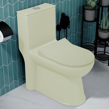 Plantex Platinum Ceramic Rimless One Piece Western Toilet/Washdown Commode for Toilet/Commode With Soft Close Toilet Seat - S