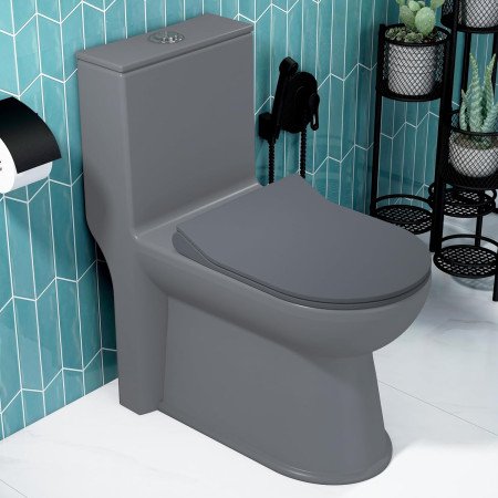 Plantex Platinum Ceramic Rimless One Piece Western Toilet/Washdown Commode for Toilet/Commode With Soft Close Toilet Seat - S