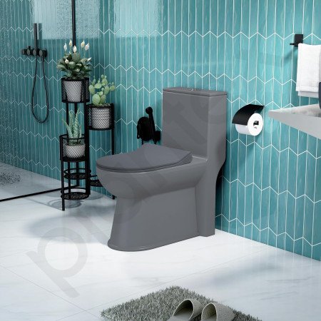 Plantex Platinum Ceramic Rimless One Piece Western Toilet/Washdown Commode for Toilet/Commode With Soft Close Toilet Seat - S