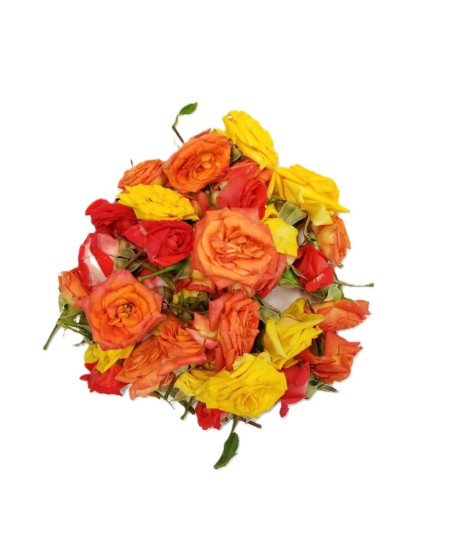Fresh Assorted Roses (Button Roses), 100g