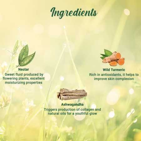 Biotique Morning Nectar Flawless Skin Moisturizer Lotion L Prevents Dark Spots, Blackheads And Blemishes L Visibly Flawless Skin Biotique Morning Nectar Flawless Skin Moisturizer Lotion L Prevents Dark Spots, Blackheads And Blemishes L Visibly Flawless Skin