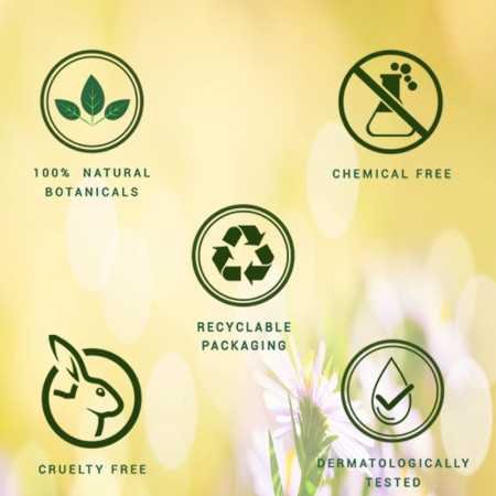 Biotique Morning Nectar Flawless Skin Moisturizer Lotion L Prevents Dark Spots, Blackheads And Blemishes L Visibly Flawless Skin Biotique Morning Nectar Flawless Skin Moisturizer Lotion L Prevents Dark Spots, Blackheads And Blemishes L Visibly Flawless Skin