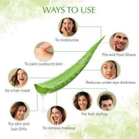 WOW Skin Science 99% Pure Aloe Vera Gel for Face, Skin & Hair - 150ml | Ultimate Gel For Glowing Skin | For Both Men and Women