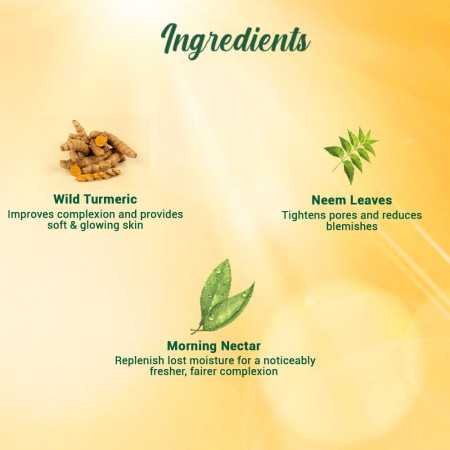 Biotique Morning Nectar Sun Protect Moisturizer SPF 30 UVA/UVB Sunscreen| Contains Wild Turmeric, Neem Leaves, & Morning Nectar Biotique Morning Nectar Sun Protect Moisturizer SPF 30 UVA/UVB Sunscreen| Contains Wild Turmeric, Neem Leaves, & Morning Nectar