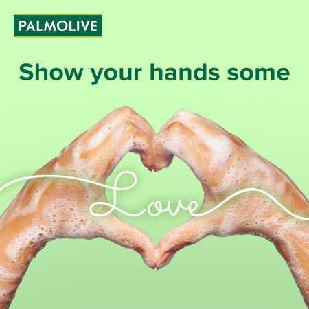 Colgate Palmolive Hydrating Lime & Mint Liquid Foaming Handwash 500ml Removes Germs, Refreshing Fragrance, Hand Wash Refill