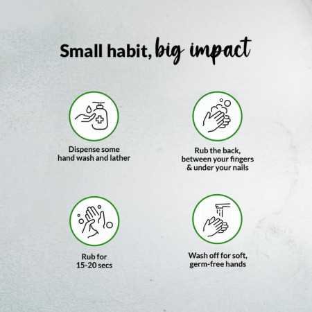 Medimix Ayurvedic Nature Fresh Hand Wash with Lemon, Tulsi, & Aloe Vera 675ml (Combo Pack Of 2)