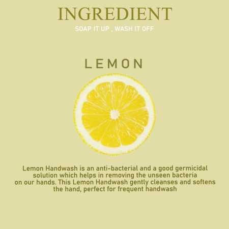 Sona Plus Foaming Handwash, 260ml, Premium Liquid, 100% Vegan, Paraben Free, With Natural Lemon Goodness, Moisturizing