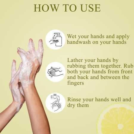 Sona Plus Foaming Handwash, 260ml, Premium Liquid, 100% Vegan, Paraben Free, With Natural Lemon Goodness, Moisturizing