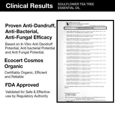 Soulflower Rosemary Essential Oil for Hair Growth, Hair Fall Control and Nourishment, Skin Care | Clinically Tested & Ecocert Soulflower Rosemary Essential Oil for Hair Growth, Hair Fall Control and Nourishment, Skin Care | Clinically Tested & Ecocert