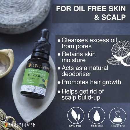 Soulflower Rosemary Essential Oil for Hair Growth, Hair Fall Control and Nourishment, Skin Care | Clinically Tested & Ecocert Soulflower Rosemary Essential Oil for Hair Growth, Hair Fall Control and Nourishment, Skin Care | Clinically Tested & Ecocert