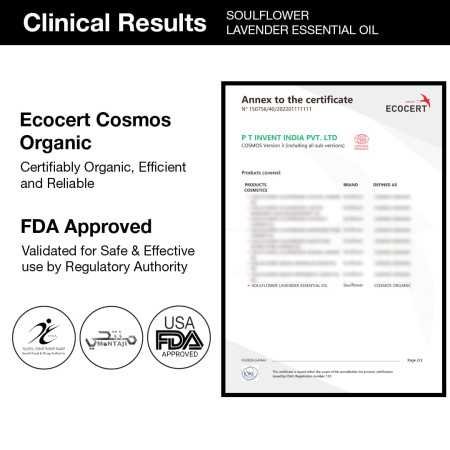 Soulflower Rosemary Essential Oil for Hair Growth, Hair Fall Control and Nourishment, Skin Care | Clinically Tested & Ecocert Soulflower Rosemary Essential Oil for Hair Growth, Hair Fall Control and Nourishment, Skin Care | Clinically Tested & Ecocert