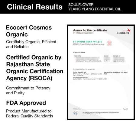 Soulflower Rosemary Essential Oil for Hair Growth, Hair Fall Control and Nourishment, Skin Care | Clinically Tested & Ecocert Soulflower Rosemary Essential Oil for Hair Growth, Hair Fall Control and Nourishment, Skin Care | Clinically Tested & Ecocert