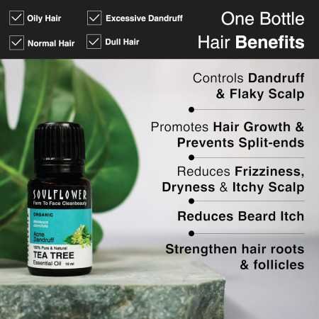 Soulflower Rosemary Essential Oil for Hair Growth, Hair Fall Control and Nourishment, Skin Care | Clinically Tested & Ecocert Soulflower Rosemary Essential Oil for Hair Growth, Hair Fall Control and Nourishment, Skin Care | Clinically Tested & Ecocert