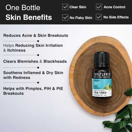 Soulflower Rosemary Essential Oil for Hair Growth, Hair Fall Control and Nourishment, Skin Care | Clinically Tested & Ecocert Soulflower Rosemary Essential Oil for Hair Growth, Hair Fall Control and Nourishment, Skin Care | Clinically Tested & Ecocert