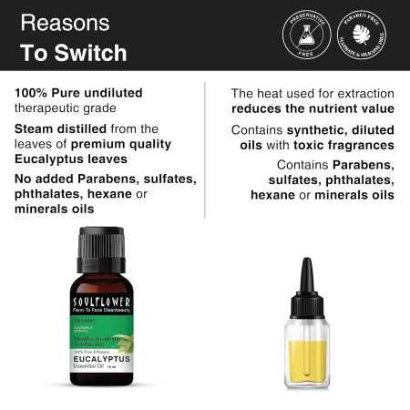 Soulflower Rosemary Essential Oil for Hair Growth, Hair Fall Control and Nourishment, Skin Care | Clinically Tested & Ecocert Soulflower Rosemary Essential Oil for Hair Growth, Hair Fall Control and Nourishment, Skin Care | Clinically Tested & Ecocert