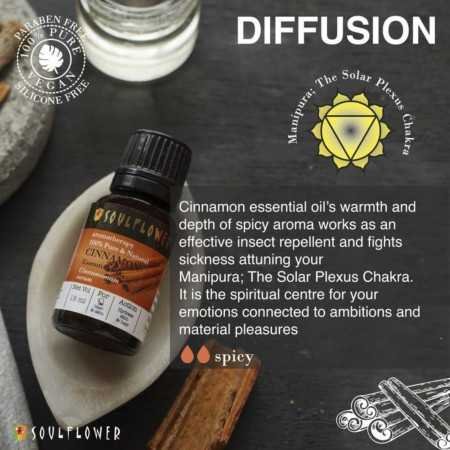 Soulflower Rosemary Essential Oil for Hair Growth, Hair Fall Control and Nourishment, Skin Care | Clinically Tested & Ecocert Soulflower Rosemary Essential Oil for Hair Growth, Hair Fall Control and Nourishment, Skin Care | Clinically Tested & Ecocert