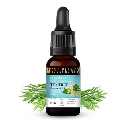 Soulflower Rosemary Essential Oil for Hair Growth, Hair Fall Control and Nourishment, Skin Care | Clinically Tested & Ecocert Soulflower Rosemary Essential Oil for Hair Growth, Hair Fall Control and Nourishment, Skin Care | Clinically Tested & Ecocert