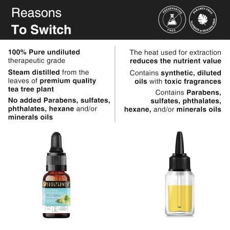 Soulflower Rosemary Essential Oil for Hair Growth, Hair Fall Control and Nourishment, Skin Care | Clinically Tested & Ecocert Soulflower Rosemary Essential Oil for Hair Growth, Hair Fall Control and Nourishment, Skin Care | Clinically Tested & Ecocert