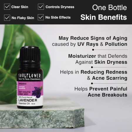 Soulflower Rosemary Essential Oil for Hair Growth, Hair Fall Control and Nourishment, Skin Care | Clinically Tested & Ecocert Soulflower Rosemary Essential Oil for Hair Growth, Hair Fall Control and Nourishment, Skin Care | Clinically Tested & Ecocert