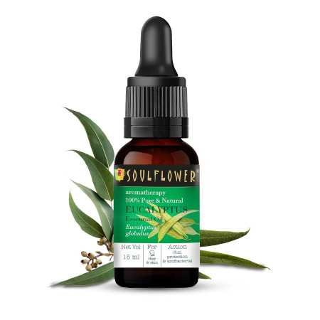 Soulflower Rosemary Essential Oil for Hair Growth, Hair Fall Control and Nourishment, Skin Care | Clinically Tested & Ecocert Soulflower Rosemary Essential Oil for Hair Growth, Hair Fall Control and Nourishment, Skin Care | Clinically Tested & Ecocert