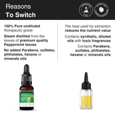 Soulflower Rosemary Essential Oil for Hair Growth, Hair Fall Control and Nourishment, Skin Care | Clinically Tested & Ecocert Soulflower Rosemary Essential Oil for Hair Growth, Hair Fall Control and Nourishment, Skin Care | Clinically Tested & Ecocert