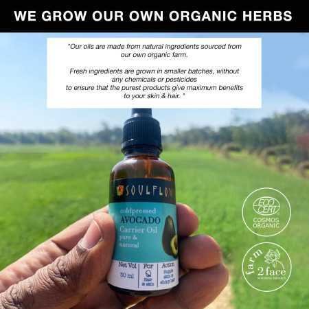 Soulflower Rosemary Lavender Hair Oil For Healthy Hair, Scalp Nourishment, Hair Growth - 100% Pure & Natural Undiluted Cold