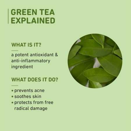 Plum Green Tea Oil-Free Moisturizer For Face