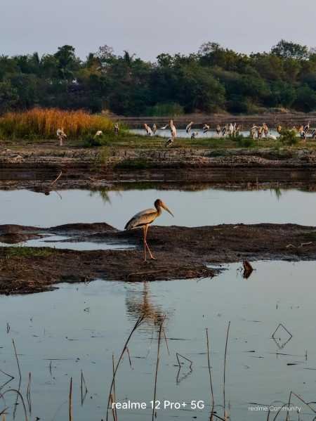 Realme 12 Pro+ 5G Submarine Blue, 12GB RAM, 256GB Storage Realme 12 Pro+ 5G Submarine Blue, 12GB RAM, 256GB Storage