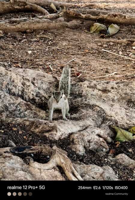 Realme 12 Pro+ 5G Submarine Blue, 12GB RAM, 256GB Storage Realme 12 Pro+ 5G Submarine Blue, 12GB RAM, 256GB Storage