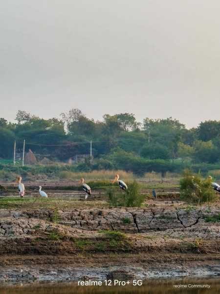 Realme 12 Pro+ 5G Submarine Blue, 12GB RAM, 256GB Storage Realme 12 Pro+ 5G Submarine Blue, 12GB RAM, 256GB Storage