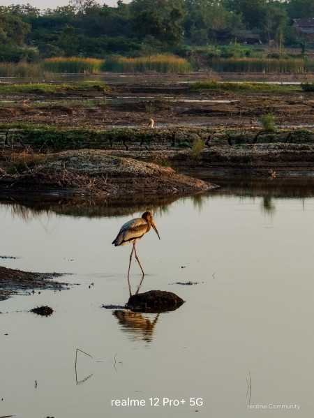 Realme 12 Pro+ 5G Submarine Blue, 12GB RAM, 256GB Storage Realme 12 Pro+ 5G Submarine Blue, 12GB RAM, 256GB Storage