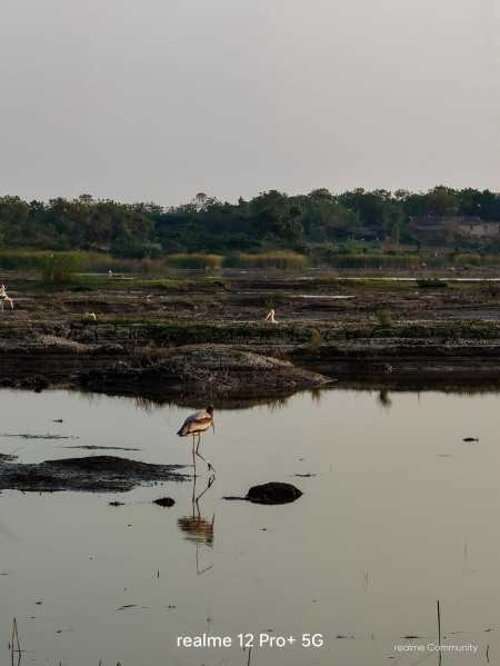 Realme 12 Pro+ 5G Submarine Blue, 12GB RAM, 256GB Storage Realme 12 Pro+ 5G Submarine Blue, 12GB RAM, 256GB Storage