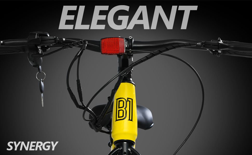 S1 Electric Cycle Dual Disc Brakes 250w BLDC Motor 7.8Ah Li-Ion Battery Throttle LED 95% Charger