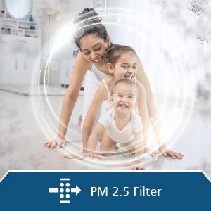 PM 2.5 Filter