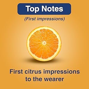 Park Avenue Amazon Woods Voyage Perfume