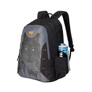 casual backpack, backpack