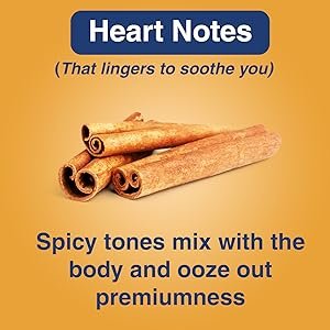 Park Avenue Amazon Woods Voyage Perfume