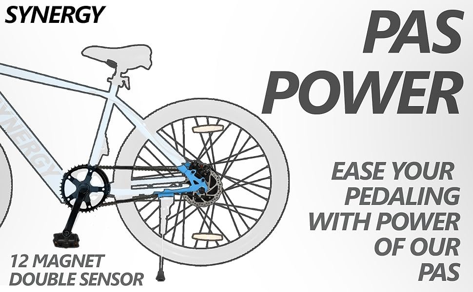 S1 Electric Cycle Dual Disc Brakes 250w BLDC Motor 7.8Ah Li-Ion Battery Throttle LED 95% Charger