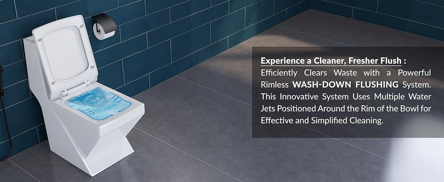 floor mounted toilet