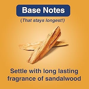 Park Avenue Amazon Woods Voyage Perfume