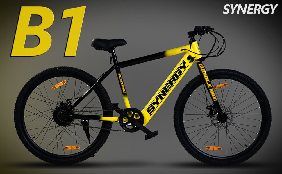 S1 Electric Cycle Dual Disc Brakes 250w BLDC Motor 7.8Ah Li-Ion Battery Throttle LED 95% Charger