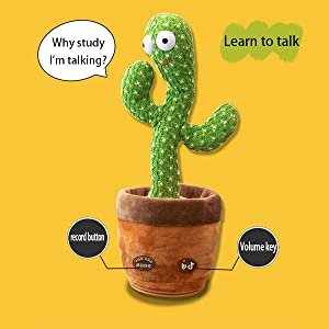 cactus toy for baby catus toy plant for baby taking toy music toys for kids