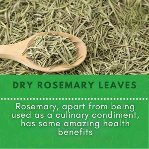 SPN-BFCC Rosemary Dried Leaves
